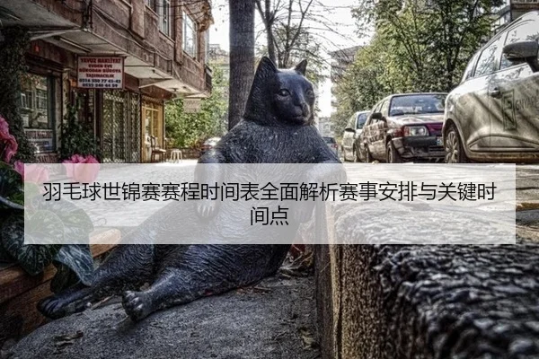 羽毛球世锦赛赛程时间表全面解析赛事安排与关键时间点